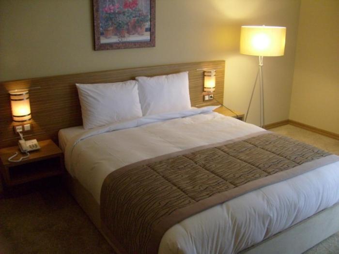 Hotel Almina Park Duzce Room photo